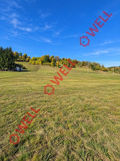 Teren intravilan de 2425 mp, în Barcani