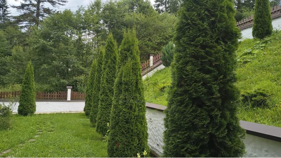 Apartament cu 3 camere decomandat, mobilat în Forestier