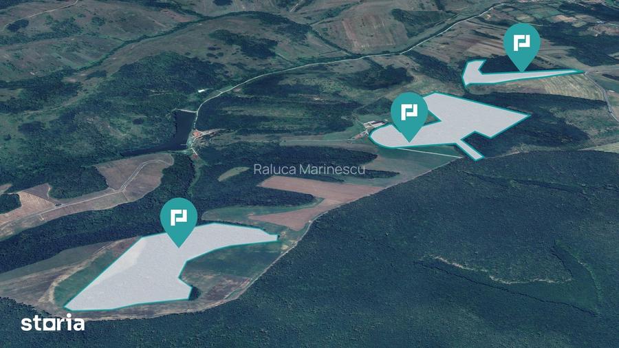 Padure 50,7 ha in jude?ul Arad