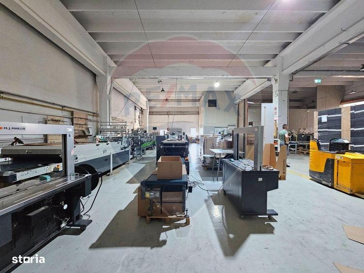 Hale Industriale 5065 mp de vanzare Str. Bradului - Bacau - 15