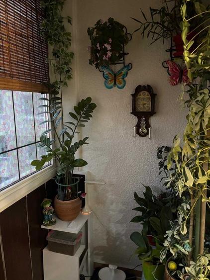 Apartament 2 camere Sos Pantelimon - Lidl - 2