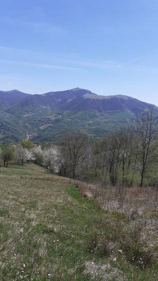 Teren în Cornereva