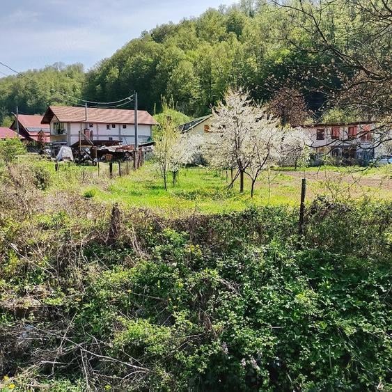 Teren de 745 mp, în Moneasa