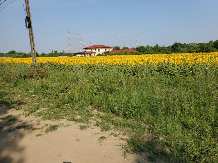 Teren Construcții intravilan de 1000 mp, în Ciolpani
