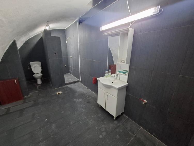 Spațiu industrial, de 600 mp, în Aradul Nou