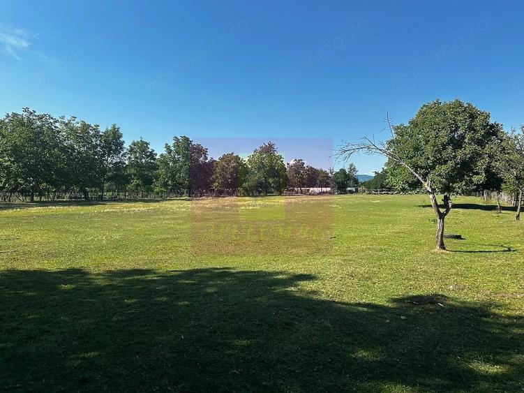 Teren de 10072 mp, în Voila