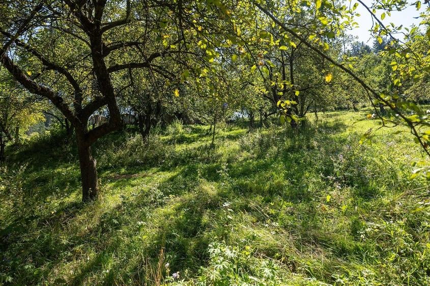 Casă individuală cu 4 camere cu Canalizare în Poiana Mărului