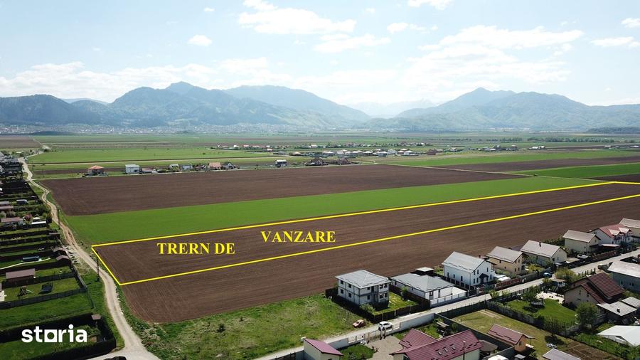 Teren de 29200 mp, în Tărlungeni