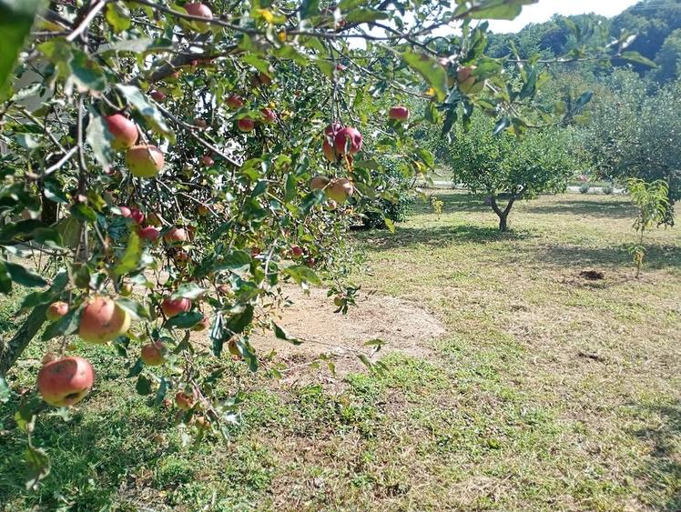 Garsonieră decomandată în Titan
