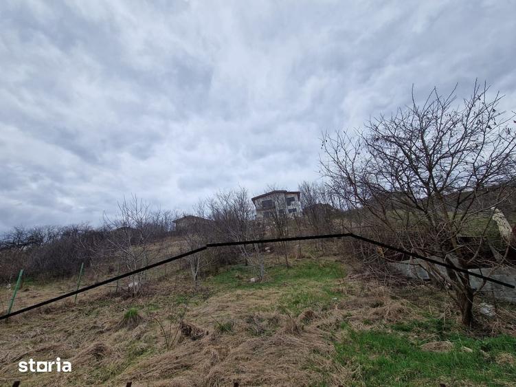Teren de 584 mp, în Apahida