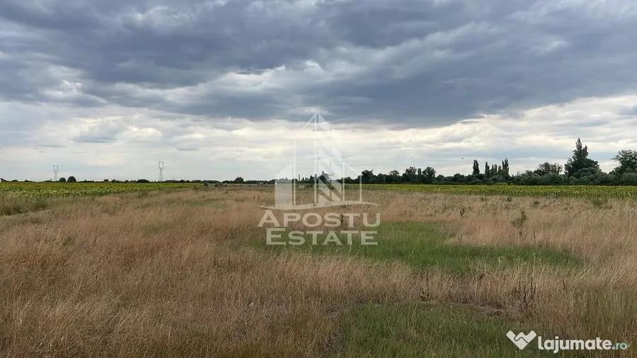 Teren în Sânmihaiu Român