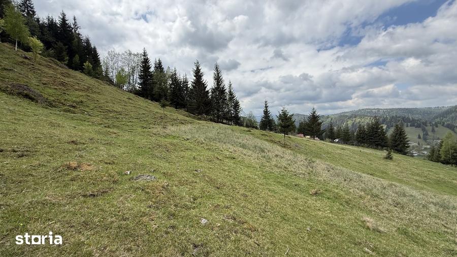 Teren de 16230 mp, în Fundu Moldovei