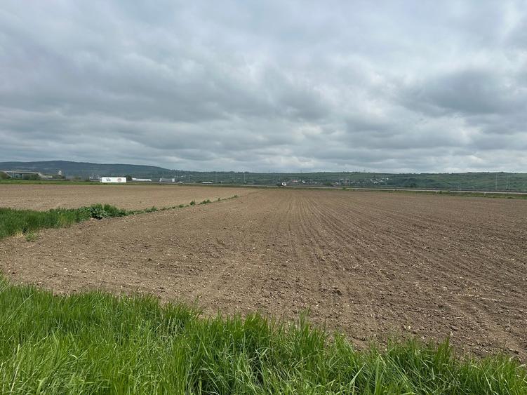 Teren Construcții extravilan de 18500 mp, în Șelimbăr