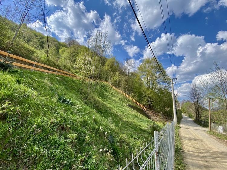 Teren Construcții de 4360 mp, în Teșila