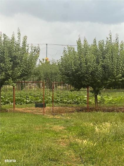 Casă cu 4 camere în Tileagd