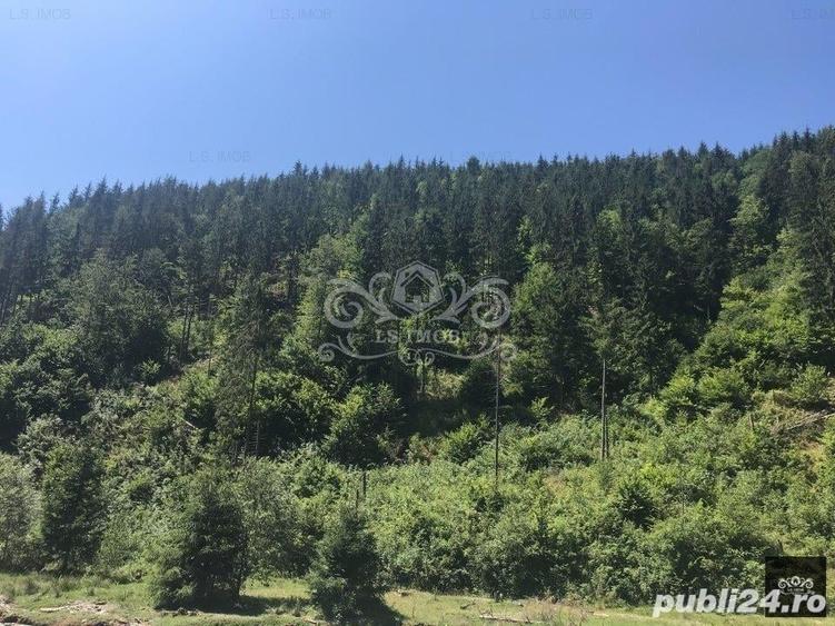 Teren de 63000 mp, în Bughea de Sus