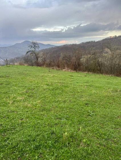 Teren de 3608 mp, în Șuta