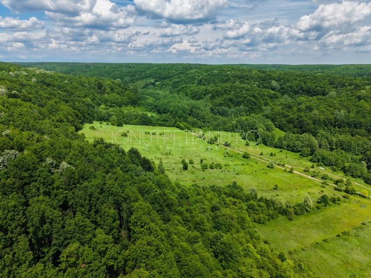 Teren agricol extravilan de 5500 mp, în Valea Mare-Podgoria