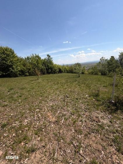 Teren de 1400 mp, în Fărcașa
