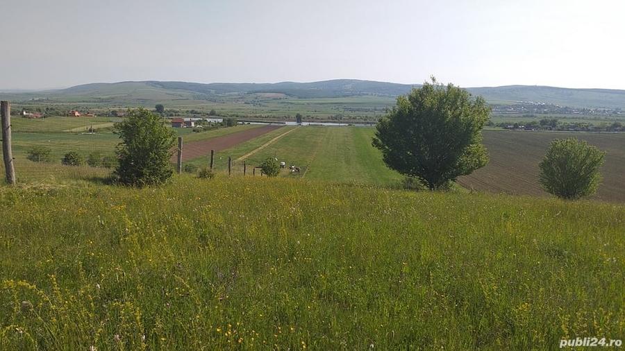 Teren de 18000 mp, în Feldioara