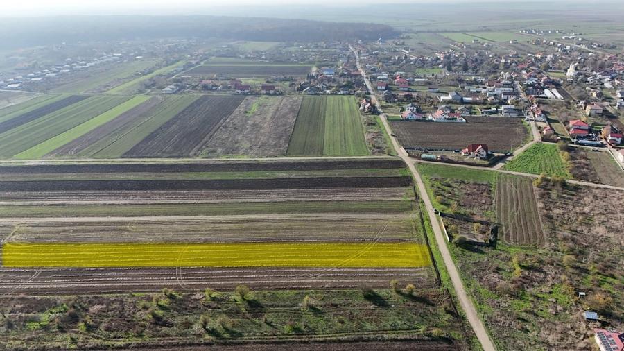 Teren Construcții intravilan de 10000 mp, în Gulia