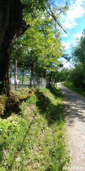 Teren de vanzare Horezu - 4