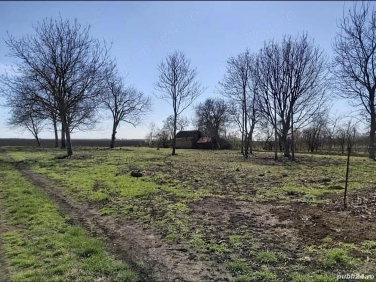Teren de 1260 mp, în Peregu Mic