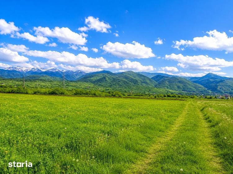 Teren de 2800 mp, în Turnu Roșu