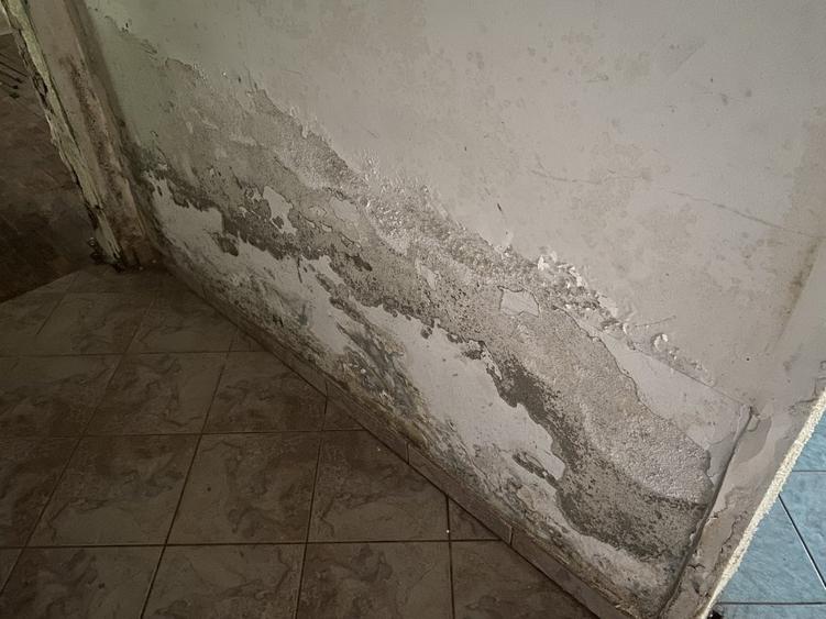 Casă individuală cu 5 camere cu Teren 1381 Mp în Costești