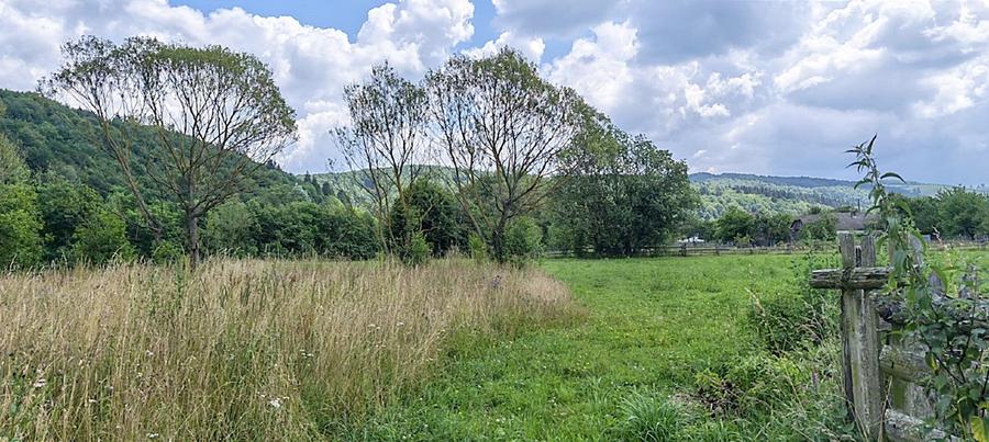 Teren agricol extravilan de 4950 mp, în Vama Buzăului