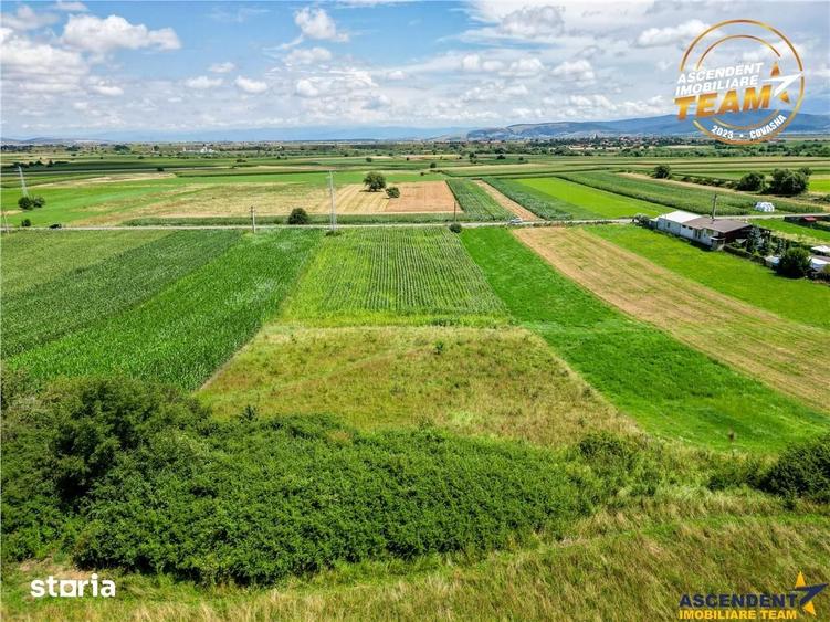 Teren de 7400 mp, în Ilieni