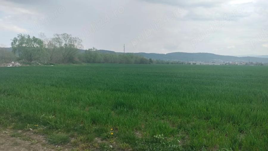 Teren în Central