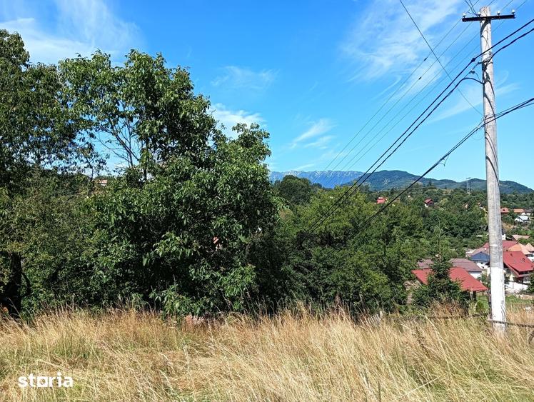 Teren de 3980 mp, în Bran