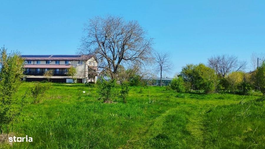 Spațiu comercial, în Săftica