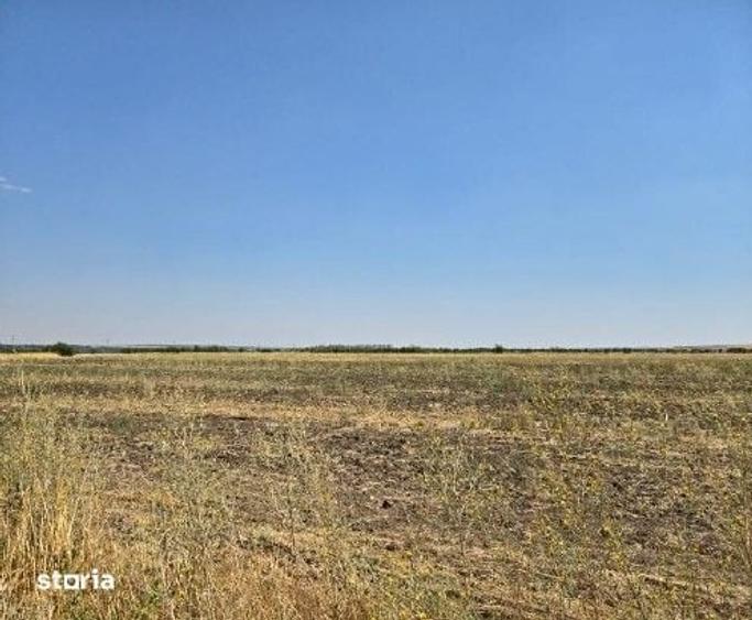 Teren de 4300 mp, în Smârdioasa