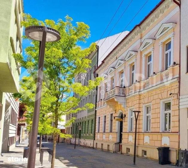 Apartament cu 3 camere | Curte cu gradina| Ultracentral - 5