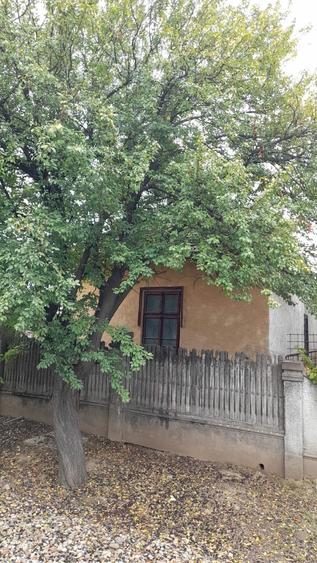 Casă cu 2 camere în Basarabi