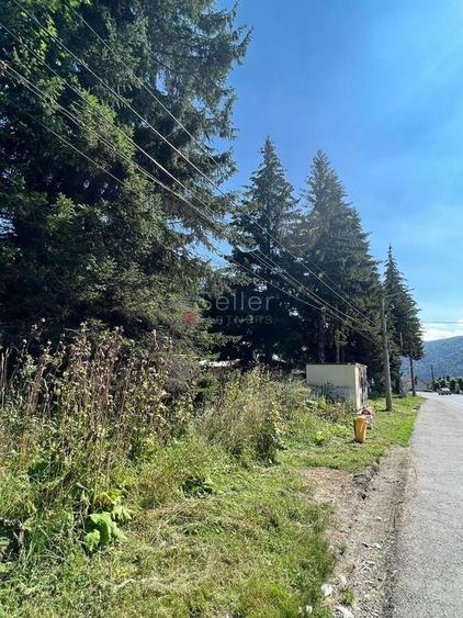 Teren Construcții intravilan de 9000 mp, în Malul Ursului