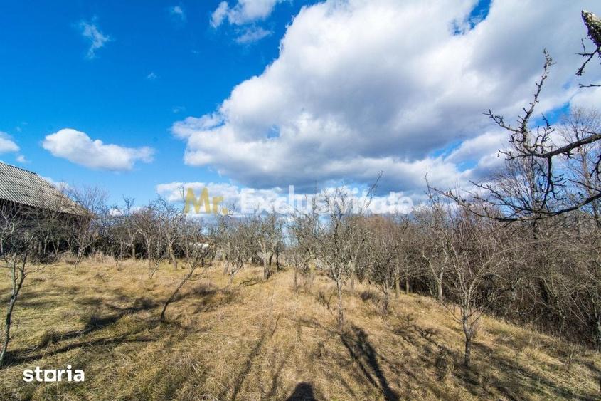 Casă cu 3 camere cu Teren 4145 Mp în Vedea