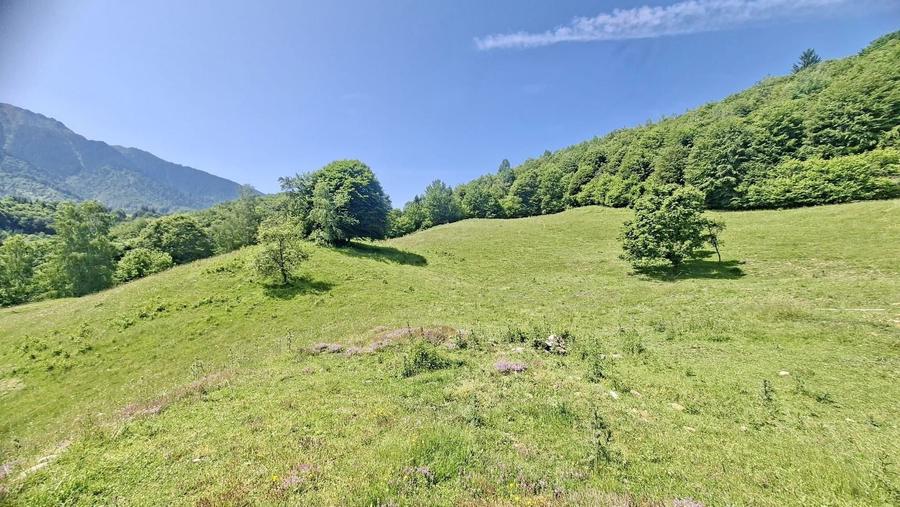 Teren Construcții extravilan de 126000 mp, în Glăjărie