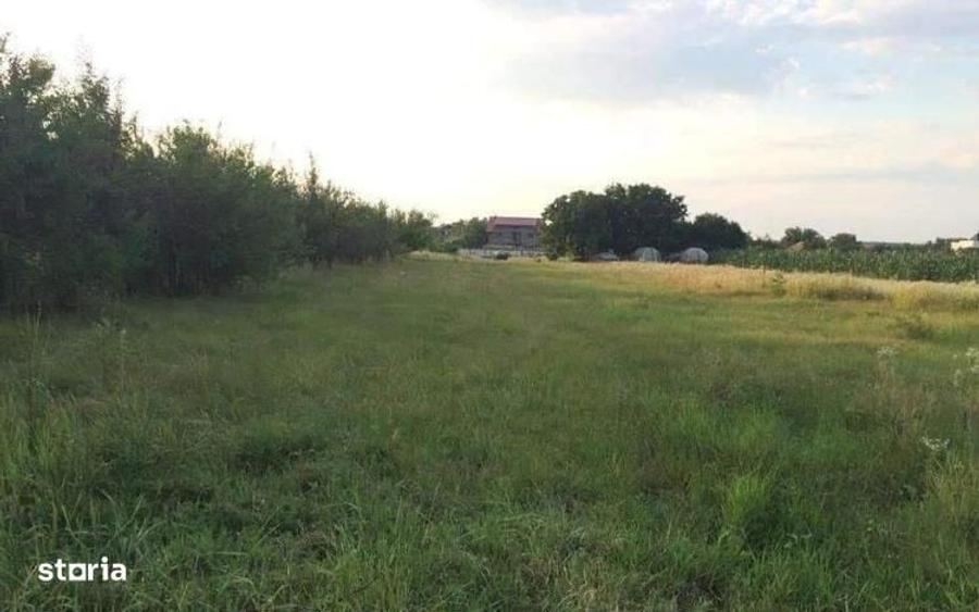 Teren de vanzare | Ciofliceni | Utilitati - 2
