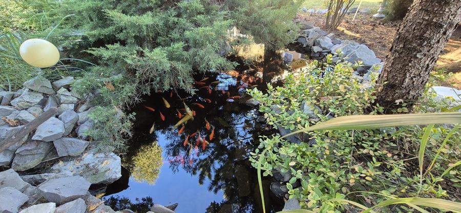 Casă individuală cu 10 camere cu Canalizare în Unirii