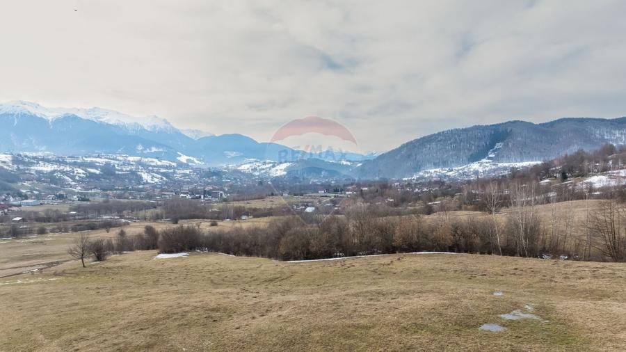 Teren Construcții intravilan de 5602 mp, în Tohanu Nou