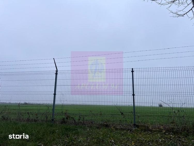 Teren de 13853 mp, în Ciorogârla