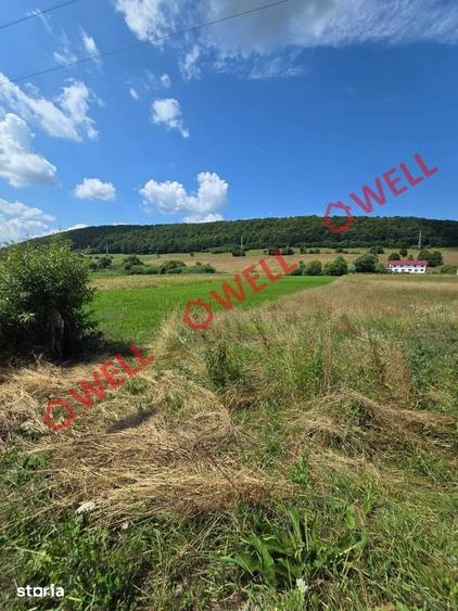 Teren de 3450 mp, în Valea Mare