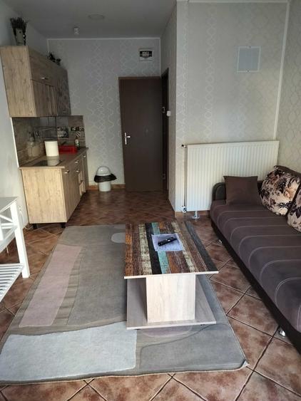 Apartament cu 2 camere semidecomandat în Exterior Vest
