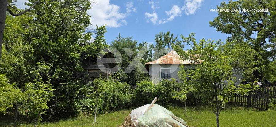 Casă individuală cu 5 camere cu Teren 4489 Mp în Râu Alb de Jos