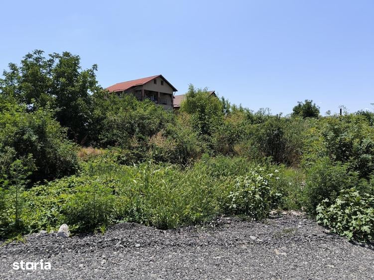 Teren Intravilan Premium | Bragadiru - Sos. Alexandriei - 8