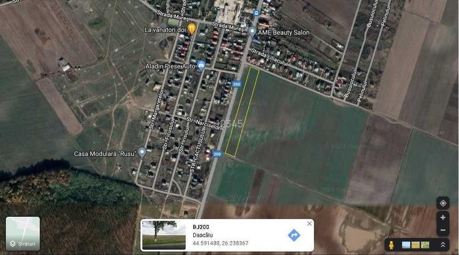 Teren intravilan, com. Dascalu, jud. Ilfov 35.000 euro/parcela,zona noua, superba, aproape de padure