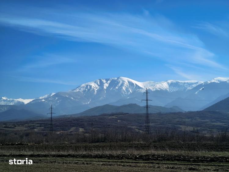 Teren de 2800 mp, în Turnu Roșu